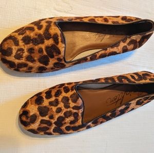 Brighton shoes